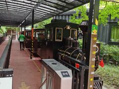 -黄海国家森林公园