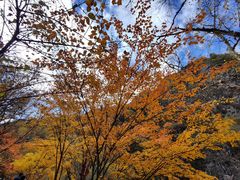 -叠溪松坪沟景区