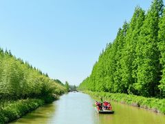 -黄海国家森林公园