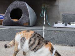 -Again Coffee Roaster(香蜜湖店)