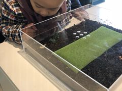 -日本科学未来馆