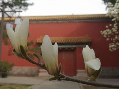 -北京市劳动人民文化宫(太庙)