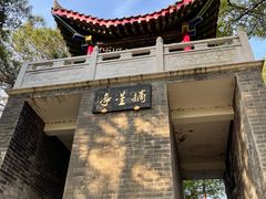 -青龙山国家森林公园