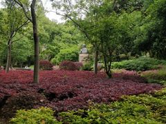 -徐家汇源景区-衡山公园