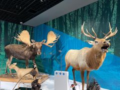 -中国湿地博物馆