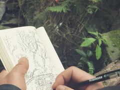 -南山植物园
