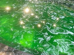 -融汇温泉