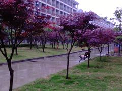 -河南财经政法大学(郑东校区)
