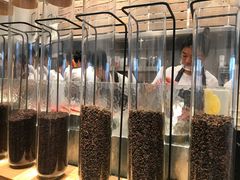 -喜茶(深圳海岸城店)
