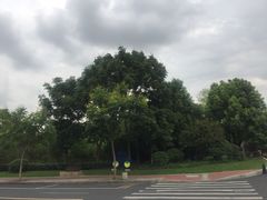 -杭州城北体育公园