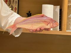 -镹·鱼料理  国产鱼使用店