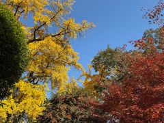 -南京中国近代史遗址博物馆(南京总统府)