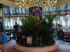 -润园四季椰子鸡火锅(海上世界店)