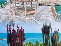 -广东惠东海龟国家级自然保护区