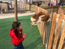 -萌宠亲子动物乐园(槐房万达店)