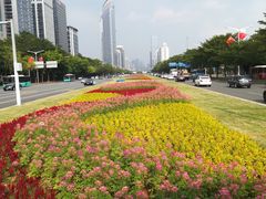 -深圳市人才园(深南大道店)