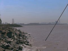 -上海滨江森林公园