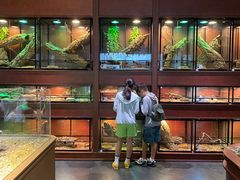 -帕帕拉兹宠物(亚洲旗舰店)