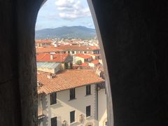 -圣母百花大教堂穹顶