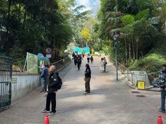 -九龙公园