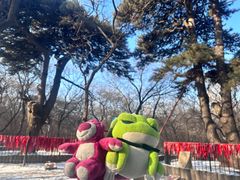 -北陵公园