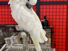 -深圳龙华星河COCO City(民治店)