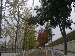-南京国际青年文化中心