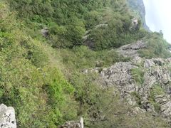 -牛背梁国家森林公园