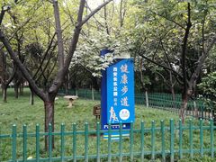 -西安市长乐公园