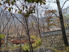 -大岭沟猕猴桃谷风景区