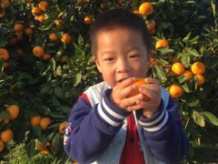 -斯坦星球AI编程·机器人科创·科学实验·信奥·思维·STEM·积木拼搭·竞赛考级(浦东联洋广场大拇指龙阳御桥中心)