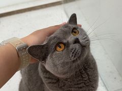 -1013 PET SHOP 宠物商店(近铁城市广场店)