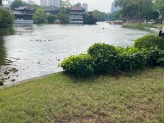 -荔湾湖公园