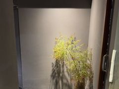 -泰·菩提树下[泰式按摩x精油SPAx肩颈头疗](新景店)