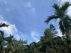 -七仙岭温泉国家森林公园