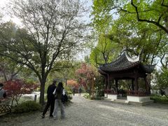 -上海醉白池公园