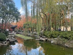 -秋霞圃