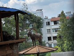 -昆明动物园