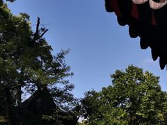 -拙政园