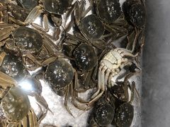 -SEA西雅图海鲜自助餐厅(正义店)