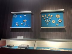 -青岛贝壳博物馆