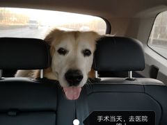 -美联众合动物医院·24h转诊中心