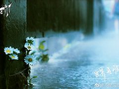 -喜虾客·大虾火锅(郑州无限城店)