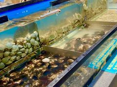 -遇上西雅图多融合海鲜自助餐厅(中房金谊广场店)