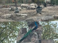 -上海野生动物园