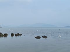 -深圳湾公园(南山区)