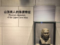 -北京周口店北京人遗址博物馆