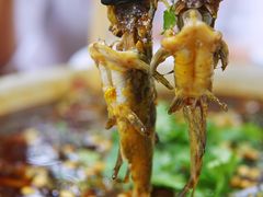 老坛酸菜黄辣丁-青城甲(青城山店)