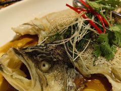 -九朝会昆曲·宴(望京店)