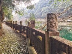 -宁海森林温泉